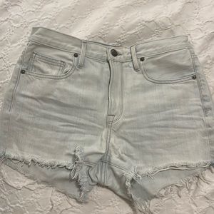 Size 25 Frame Shorts